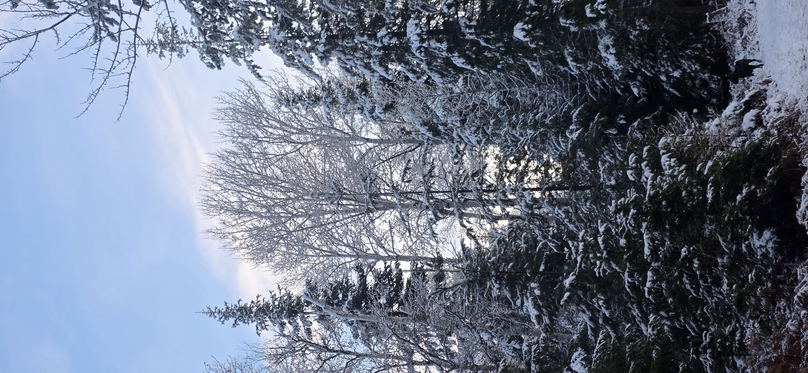 Pack River Recreation