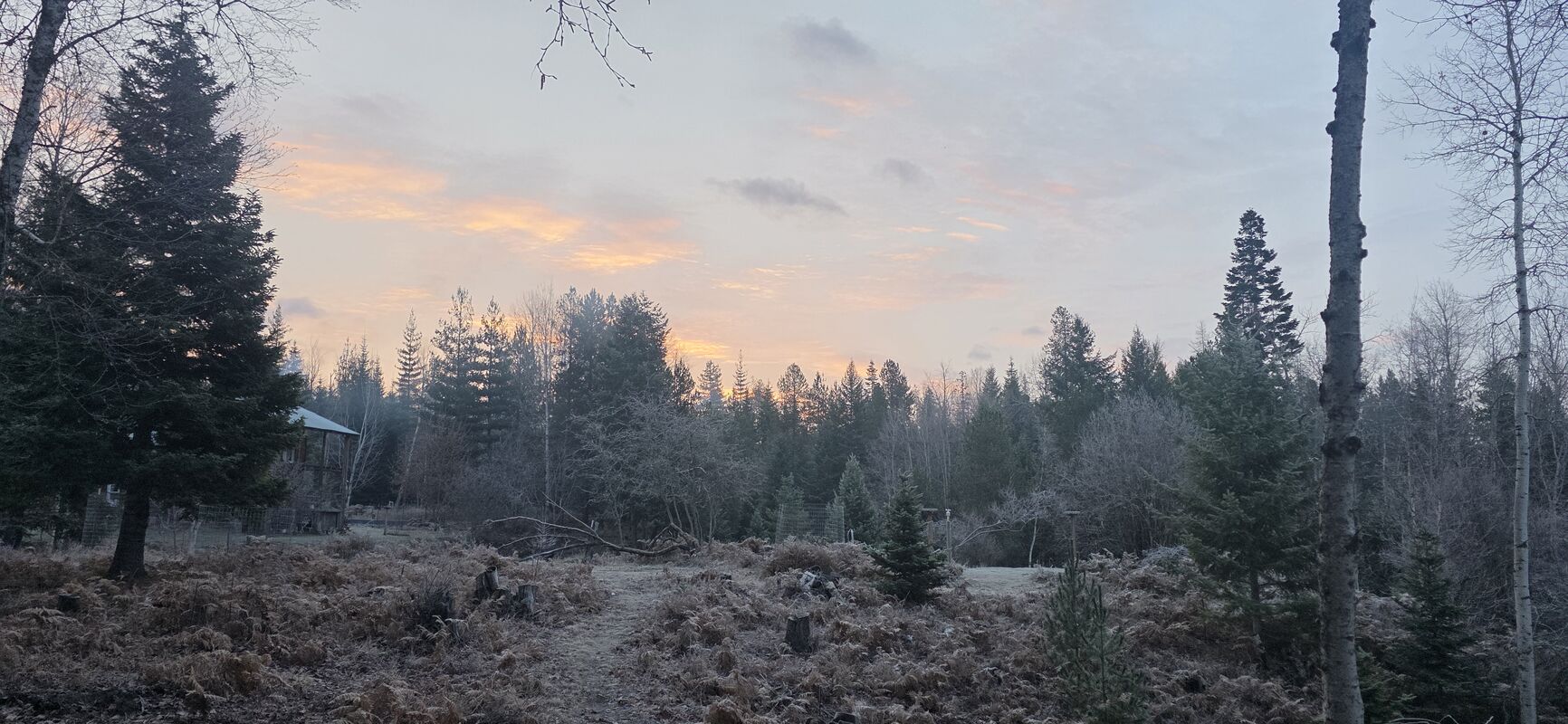 Frosty sunrise over the property